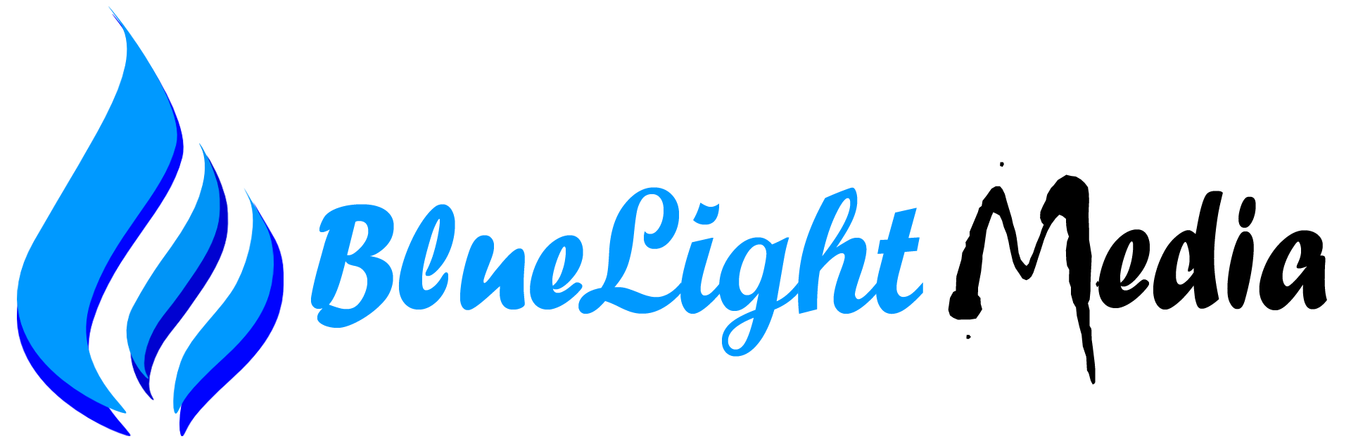 Blue Light Media Private limited digital marketing agency in haryana sirsa social media marketing company